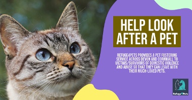 Refuge4Pets Help Look After A Pet Promotional Banner