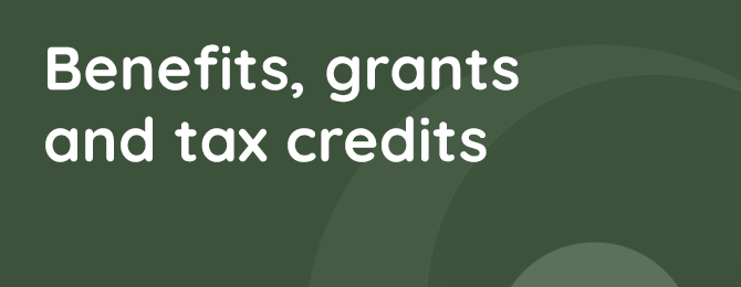 Benefits, Grants and Tax Credits Panel