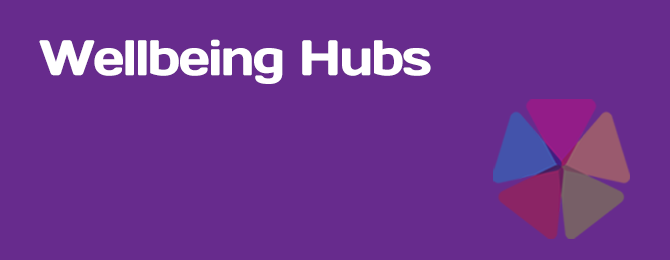 Plymouth Wellbeing Hubs Panel Logo